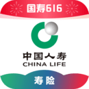 书名叫红颜的小说