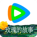 济南冰冰